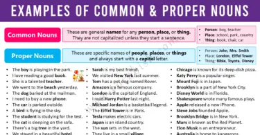 Example Sentences of Common and Proper Nouns