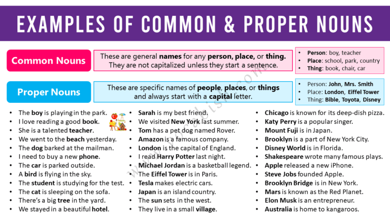 Example Sentences of Common and Proper Nouns