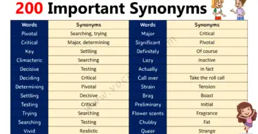 Important Synonym Words Used in the English Language