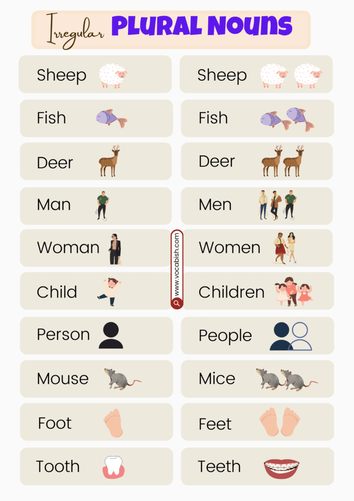 Irregular Plural Nouns Examples