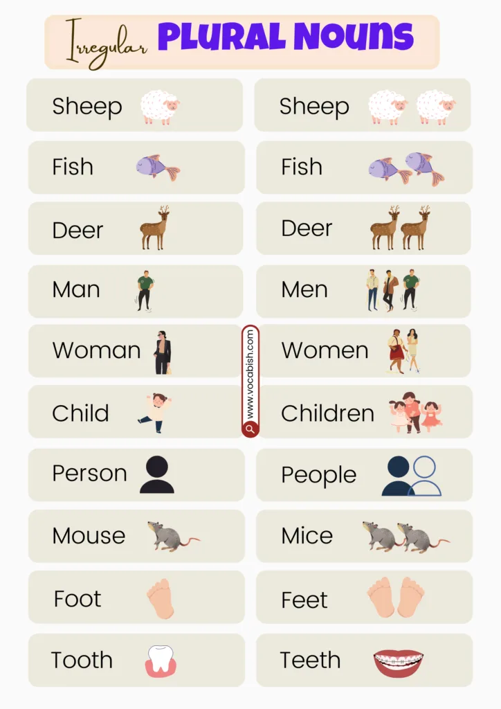 Irregular Plural Nouns Examples