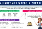 Palindromes Definition with Examples and Sentences