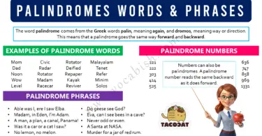 Palindromes Definition with Examples and Sentences