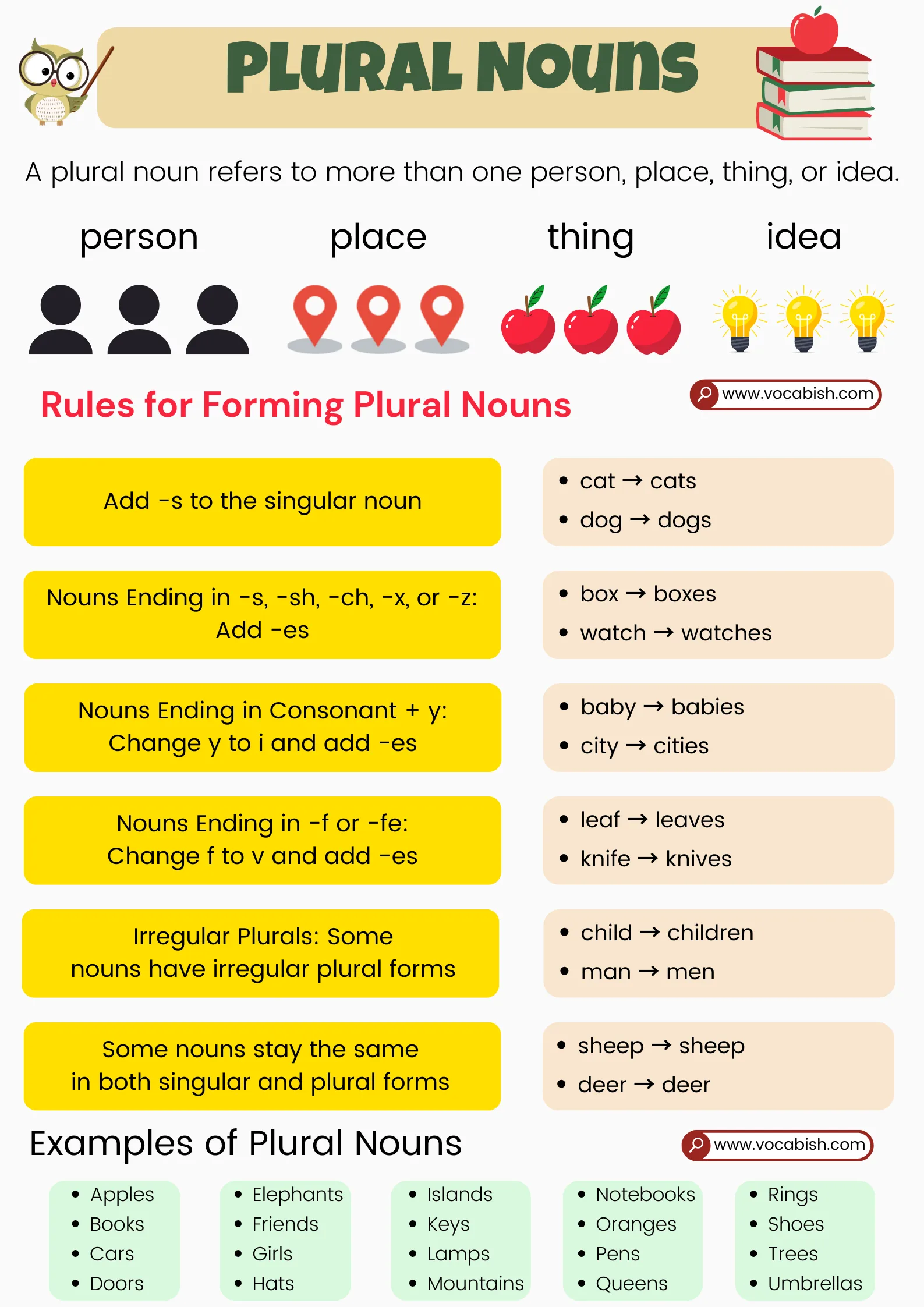 Singular and Plural Nouns in English with 100 Examples