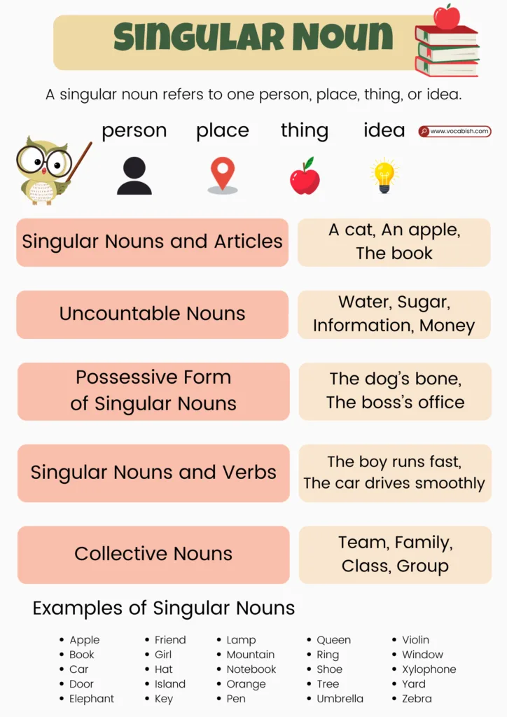 Singular Noun Explained with Examples