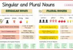 Singular and Plural Nouns in English with 100 Examples