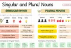 Singular and Plural Nouns