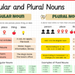 Singular and Plural Nouns in English with 100 Examples