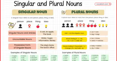 Singular and Plural Nouns in English with 100 Examples