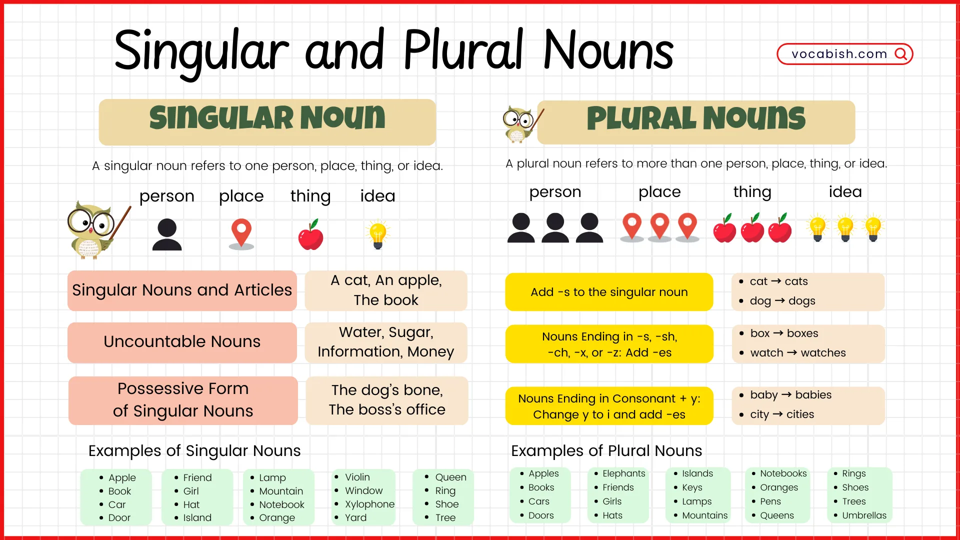 Singular and Plural Nouns in English with 100 Examples