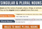 Singular and Plural Nouns With Examples