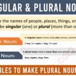 Singular and Plural Nouns With Examples