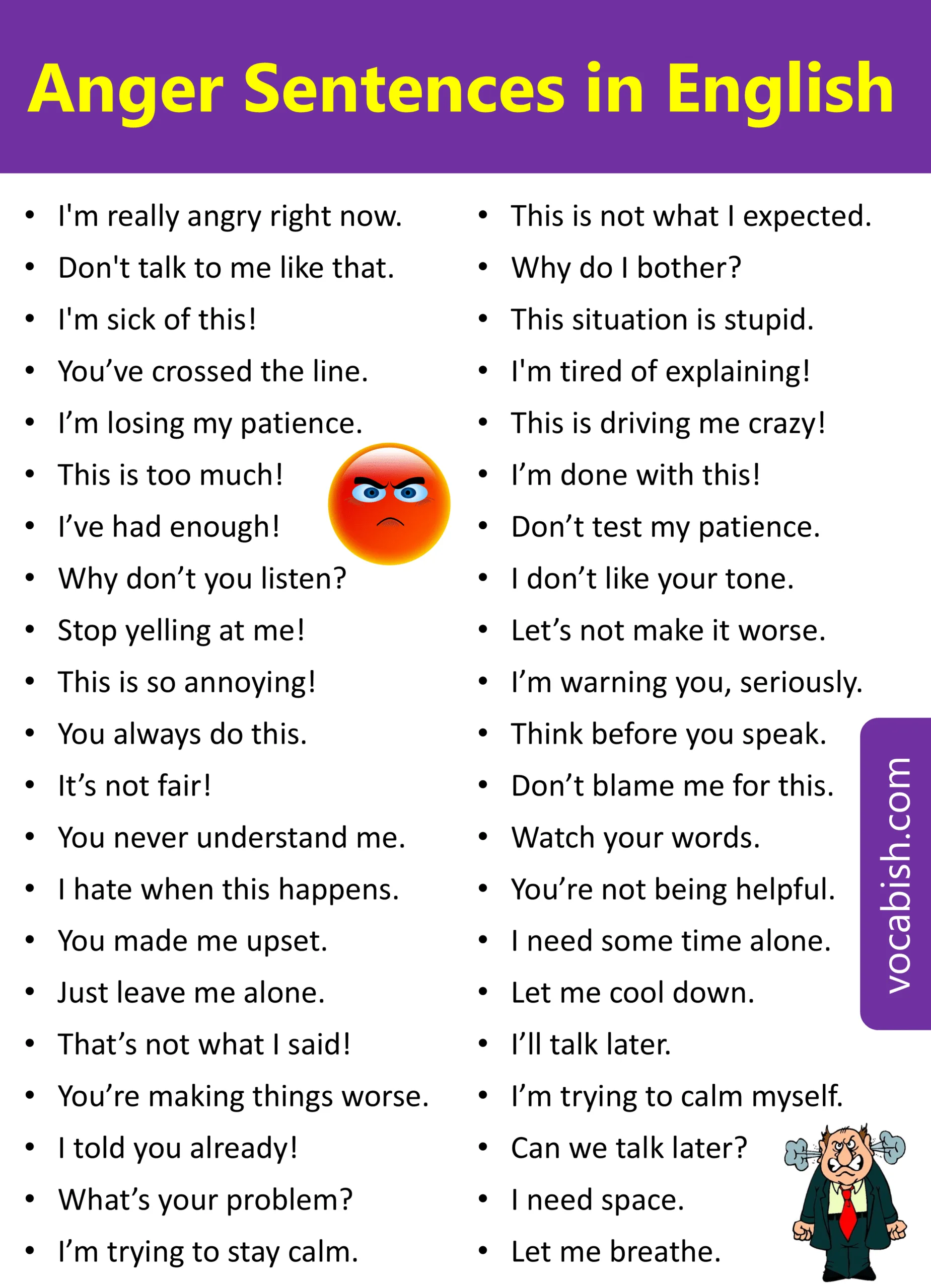 50 Anger Sentences in English