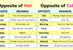 Hot and Cold Opposites – Vocabulary for Kids