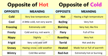 Hot and Cold Opposites – Vocabulary for Kids