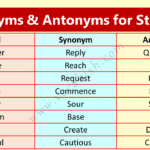 Easy Synonym and Antonym List PDF for Students