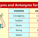 Synonyms and Antonyms for Brave with Example Sentences