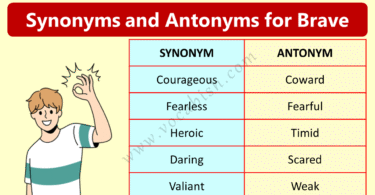 Synonyms and Antonyms for Brave with Example Sentences