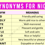 30 Easy Synonyms for Nice for Beginners