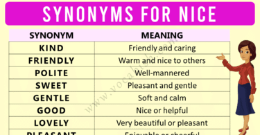 30 Easy Synonyms for Nice for Beginners