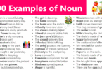 100 Examples of Noun in English with Sentences