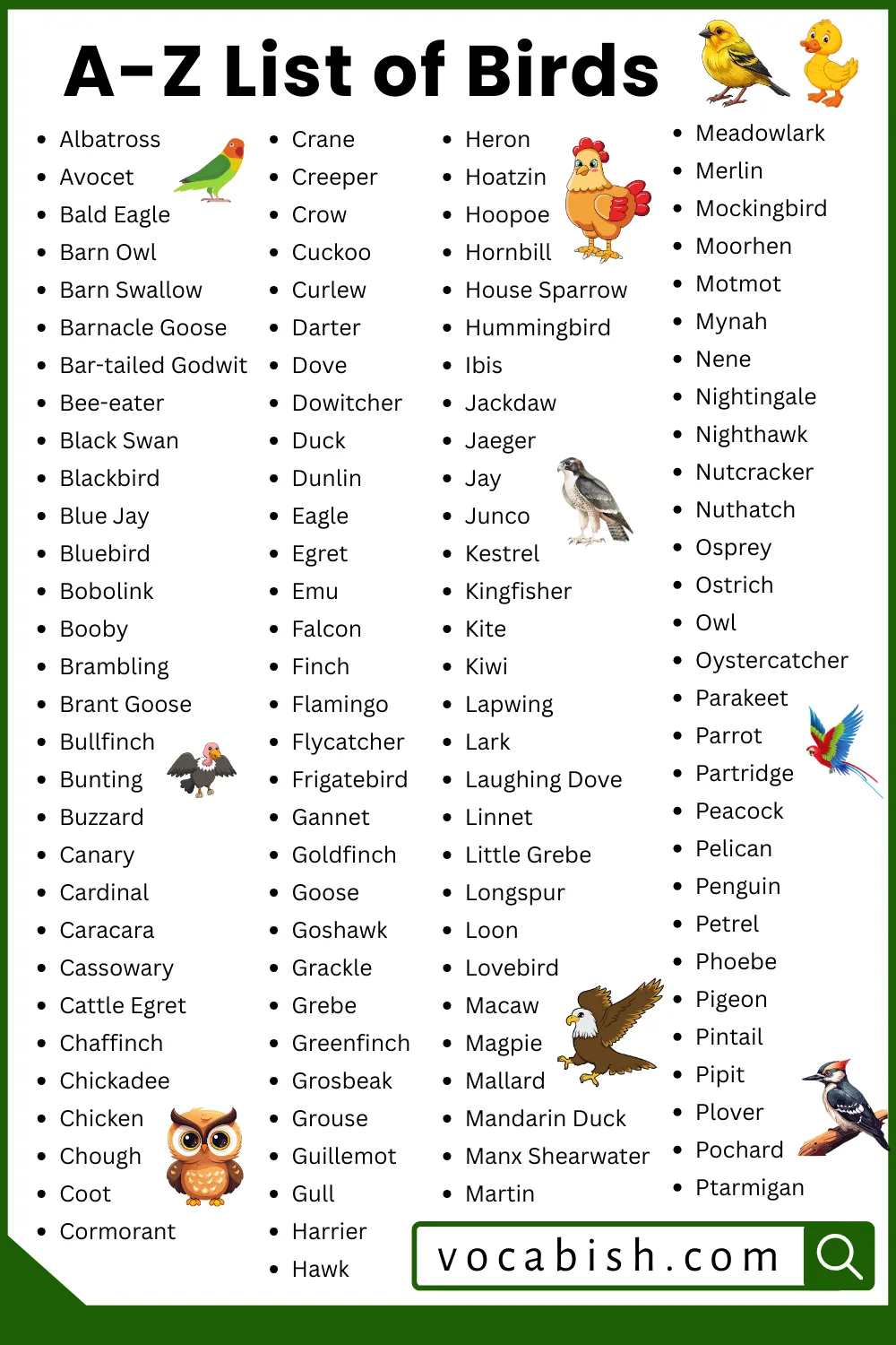 Types of Birds: Names in English with Pictures
