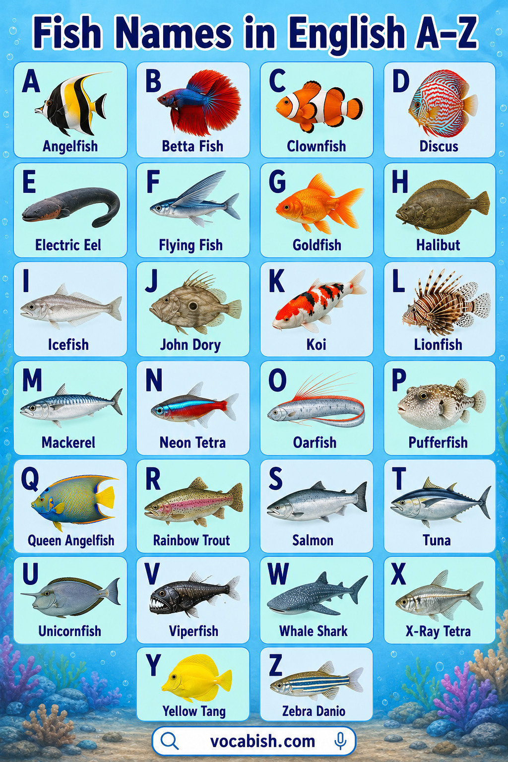 Types of fish names from A to Z
