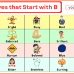 Adjectives that Start with B
