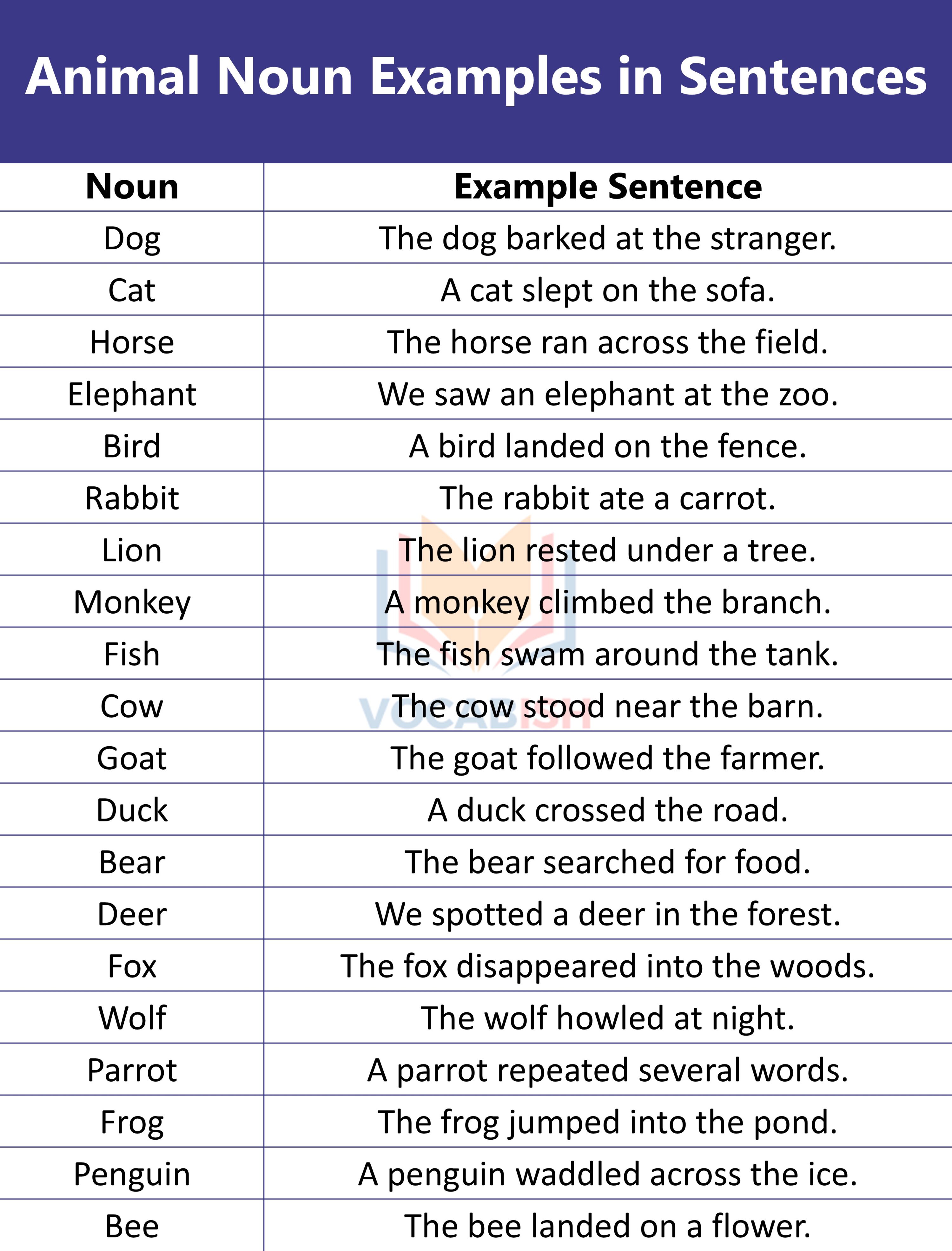 Animal Noun Examples in Sentences