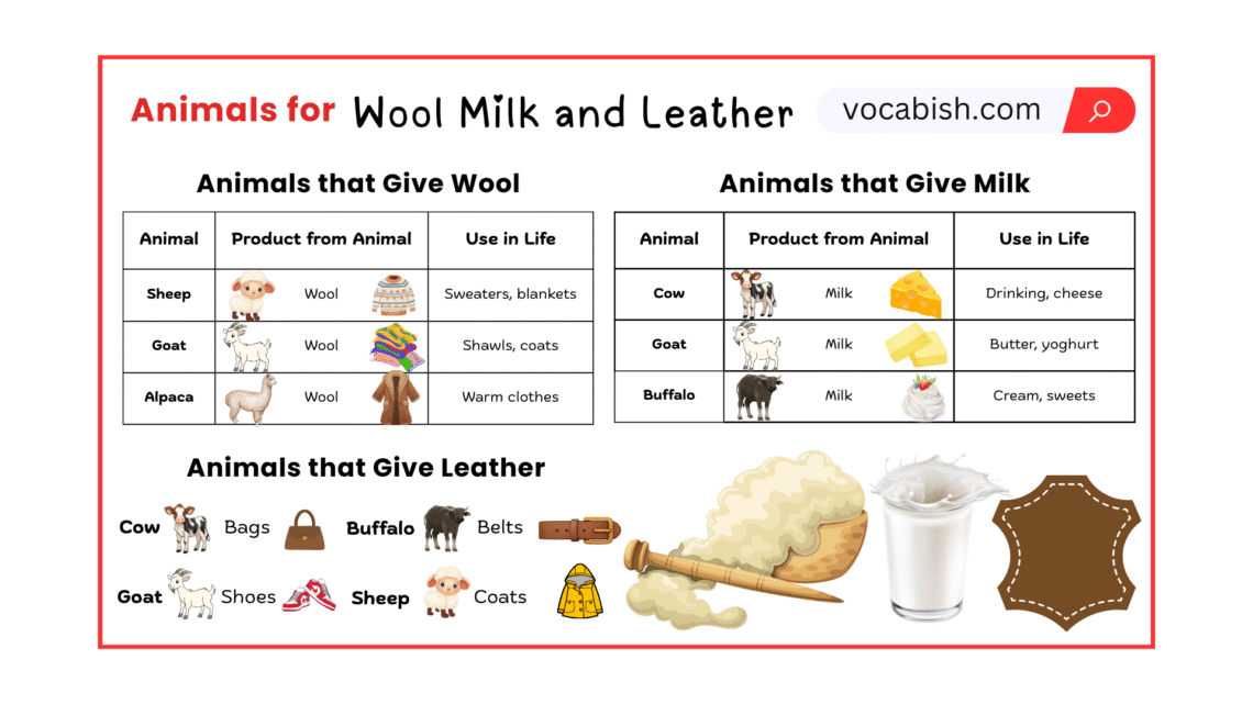 Animals Used for Wool, Milk, and Leather