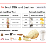 Animals Used for Wool, Milk, and Leather