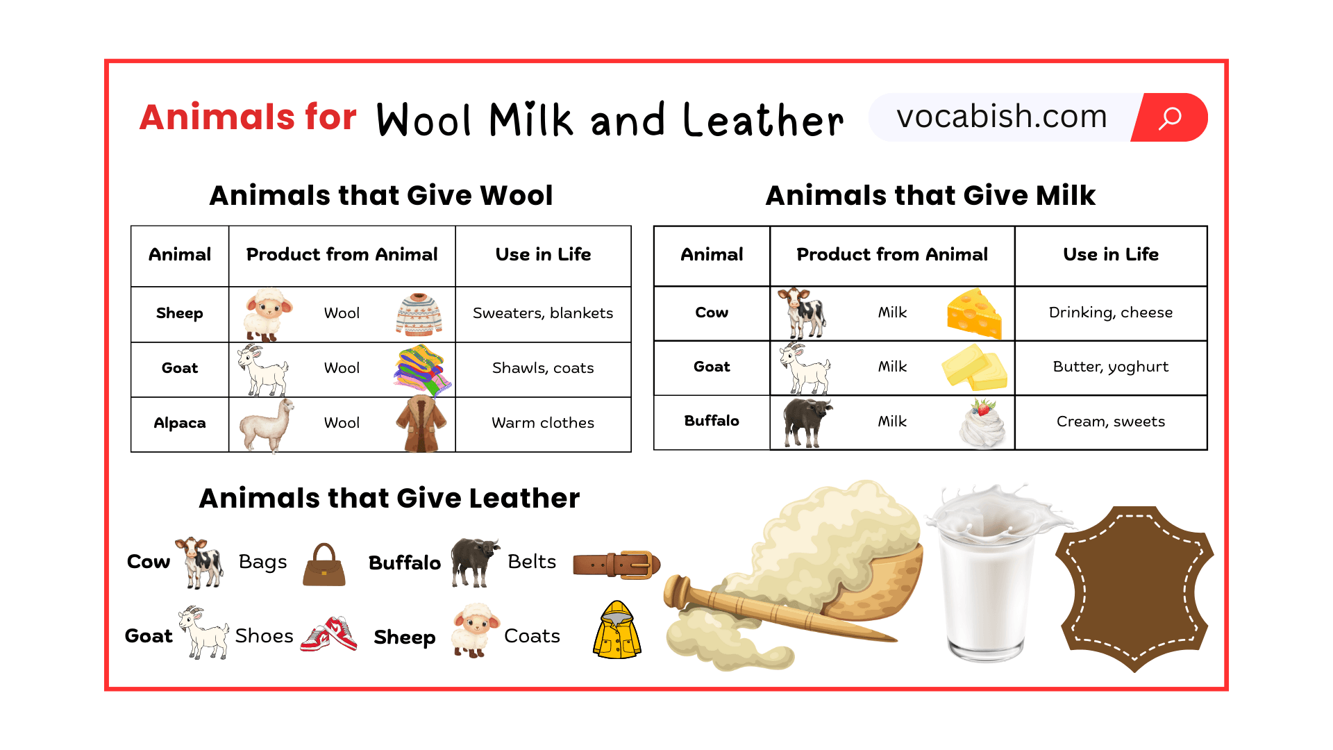 Animals Used for Wool, Milk, and Leather