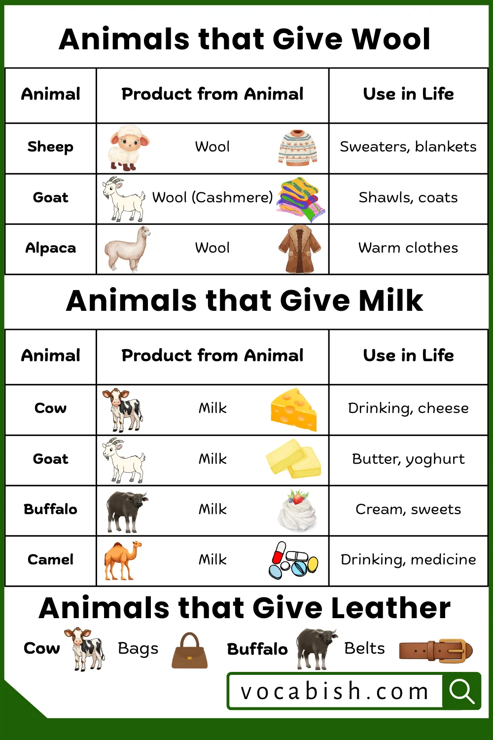 Animals Name that Used for Wool, Milk, and Leather