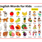 Basic English Vocabulary Words for Kids with Pictures
