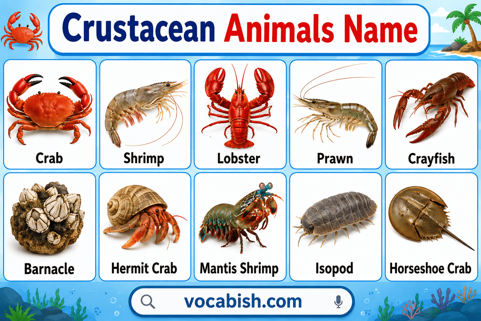 Crustacean Animals Names