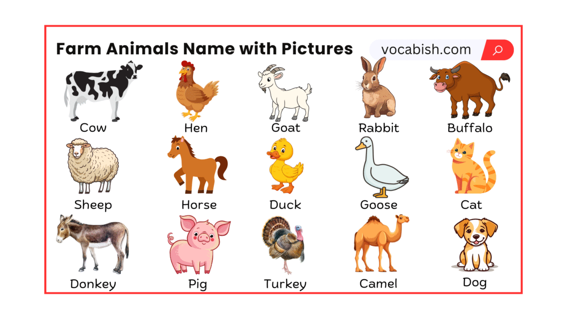 Farm Animals Names in English with Pictures