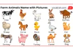Farm Animals Names in English with Pictures