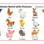 Farm Animals Names in English with Pictures