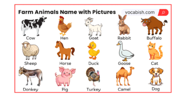 Farm Animals Names in English with Pictures