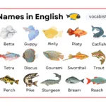 250+ Types of Fish Names in English with Their Pictures