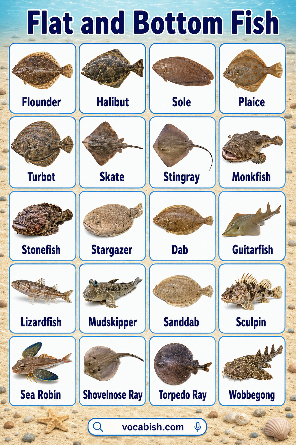 Flat and bottom-dwelling fish examples