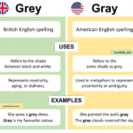 Grey vs Gray Explained with Easy Examples in English