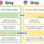 Grey vs Gray Explained with Easy Examples in English