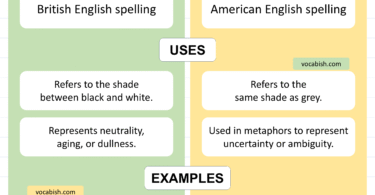 Grey vs Gray Explained with Easy Examples in English