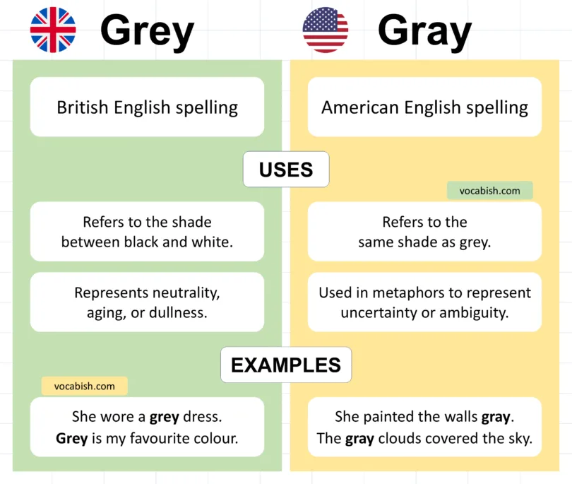 Grey vs Gray Explained with Easy Examples in English