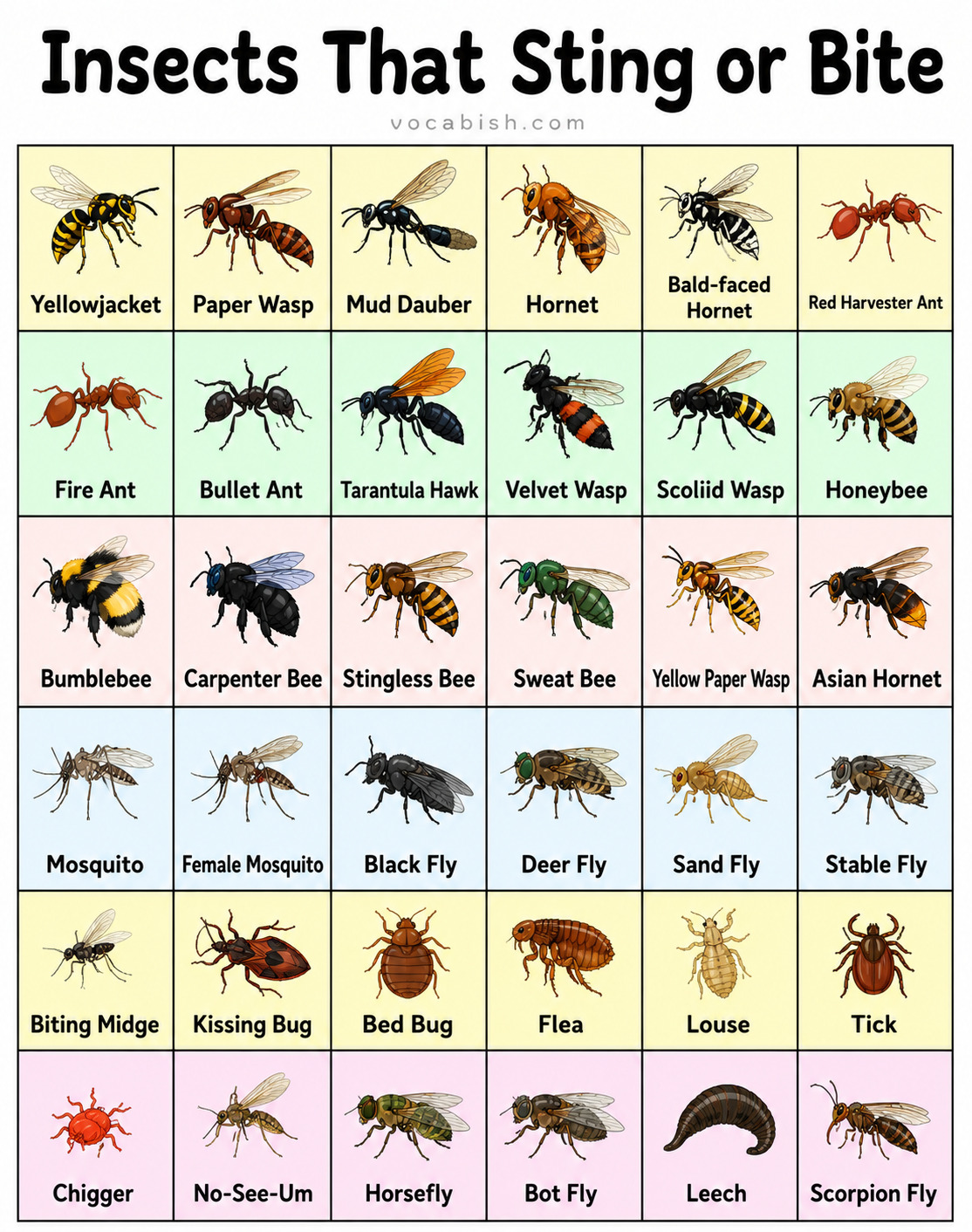 Insects that Sting or Bite