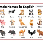 Educational chart showing names and types of various mammals with pictures for biology students.