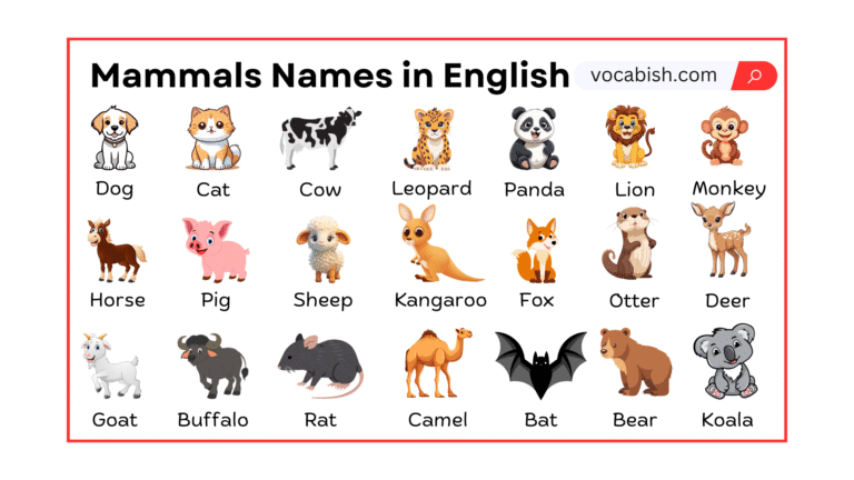 Educational chart showing names and types of various mammals with pictures for biology students.