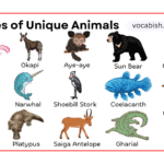 Unique Animals with Pictures