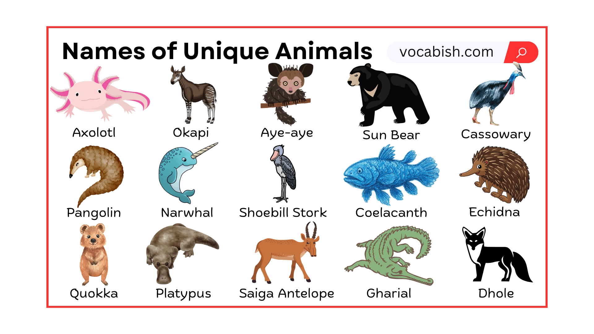 Unique Animals Around the World with Pictures